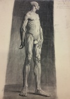 Anatomic study - 1903